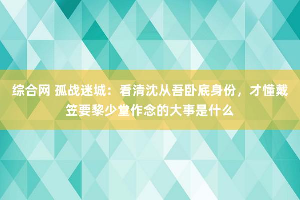 综合网 孤战迷城：看清沈从吾卧底身份，才懂戴笠要黎少堂作念的大事是什么