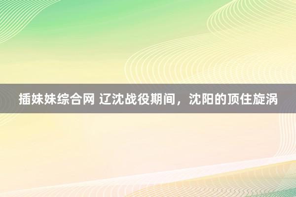 插妹妹综合网 辽沈战役期间，沈阳的顶住旋涡