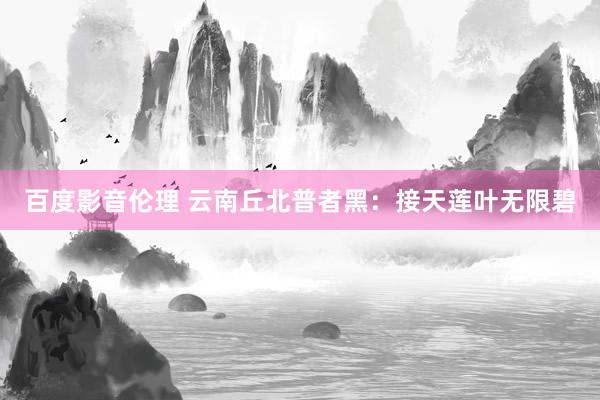 百度影音伦理 云南丘北普者黑：接天莲叶无限碧