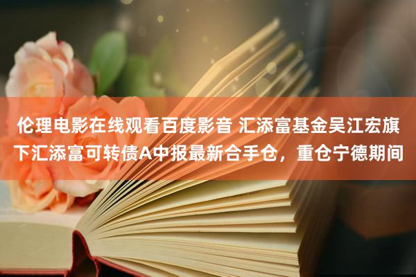 伦理电影在线观看百度影音 汇添富基金吴江宏旗下汇添富可转债A中报最新合手仓，重仓宁德期间