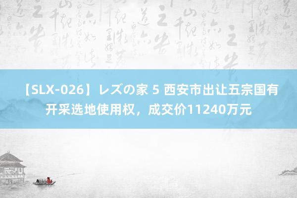 【SLX-026】レズの家 5 西安市出让五宗国有开采选地使用权，成交价11240万元