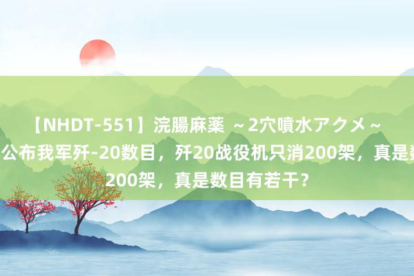 【NHDT-551】浣腸麻薬 ～2穴噴水アクメ～ ひなの 日本公布我军歼-20数目，歼20战役机只消200架，真是数目有若干？