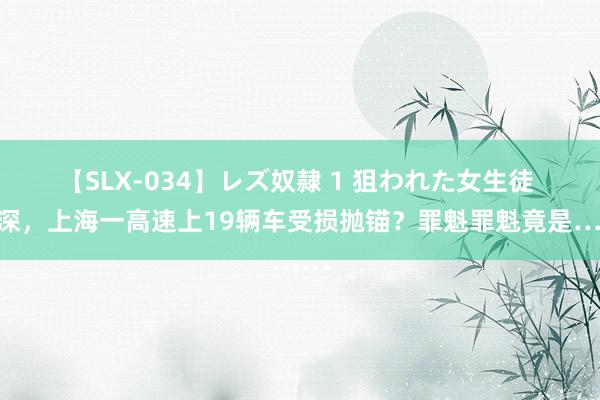 【SLX-034】レズ奴隷 1 狙われた女生徒 夜深，上海一高速上19辆车受损抛锚？罪魁罪魁竟是……