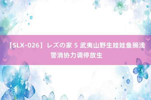 【SLX-026】レズの家 5 武夷山野生娃娃鱼搁浅 警消协力调停放生