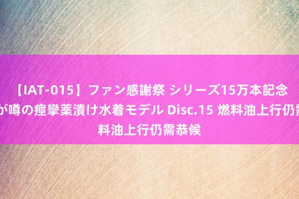 【IAT-015】ファン感謝祭 シリーズ15万本記念 これが噂の痙攣薬漬け水着モデル Disc.15 燃料油上行仍需恭候