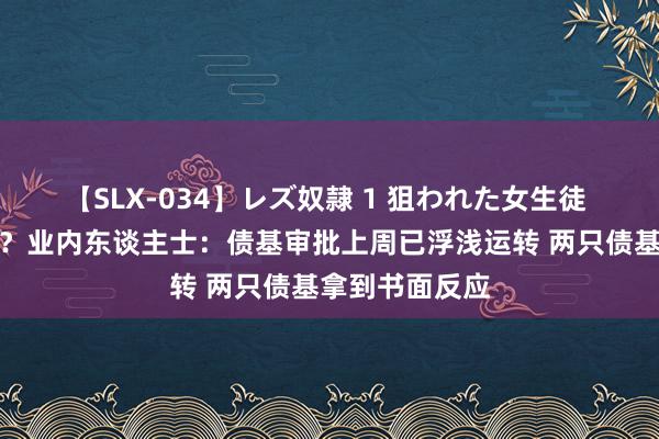 【SLX-034】レズ奴隷 1 狙われた女生徒 债基审批暂停？业内东谈主士：债基审批上周已浮浅运转 两只债基拿到书面反应