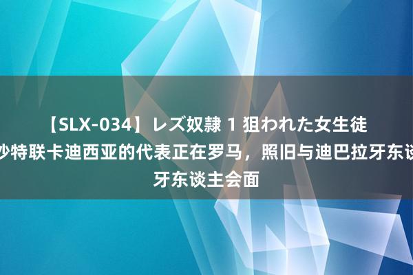 【SLX-034】レズ奴隷 1 狙われた女生徒 罗体：沙特联卡迪西亚的代表正在罗马，照旧与迪巴拉牙东谈主会面