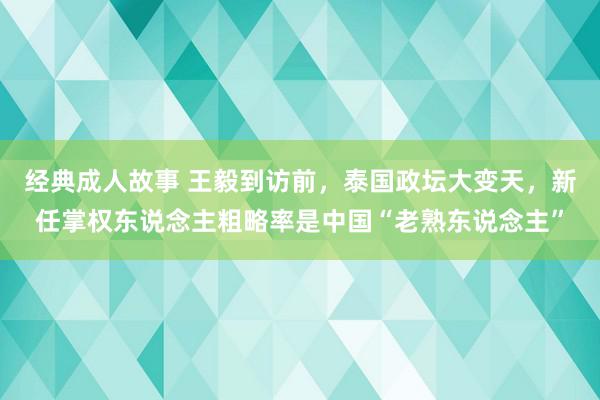 经典成人故事 王毅到访前，泰国政坛大变天，新任掌权东说念主粗略率是中国“老熟东说念主”