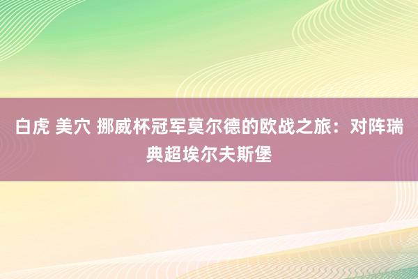 白虎 美穴 挪威杯冠军莫尔德的欧战之旅：对阵瑞典超埃尔夫斯堡