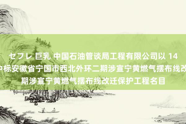 セフレ 巨乳 中国石油管谈局工程有限公司以 14007308.18 元中标安徽省宁国市西北外环二期涉宣宁黄燃气摆布线改迁保护工程名目