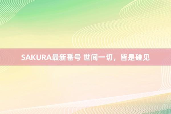 SAKURA最新番号 世间一切，皆是碰见