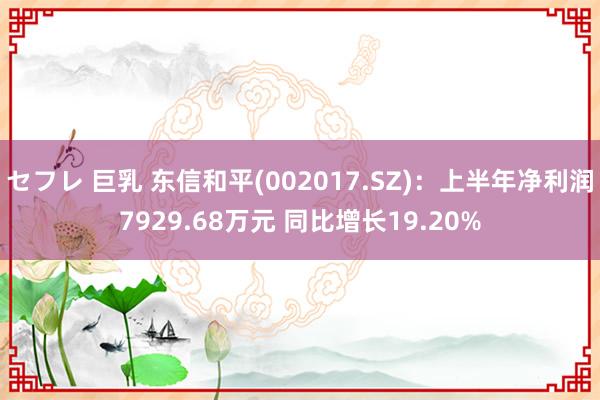 セフレ 巨乳 东信和平(002017.SZ)：上半年净利润7929.68万元 同比增长19.20%